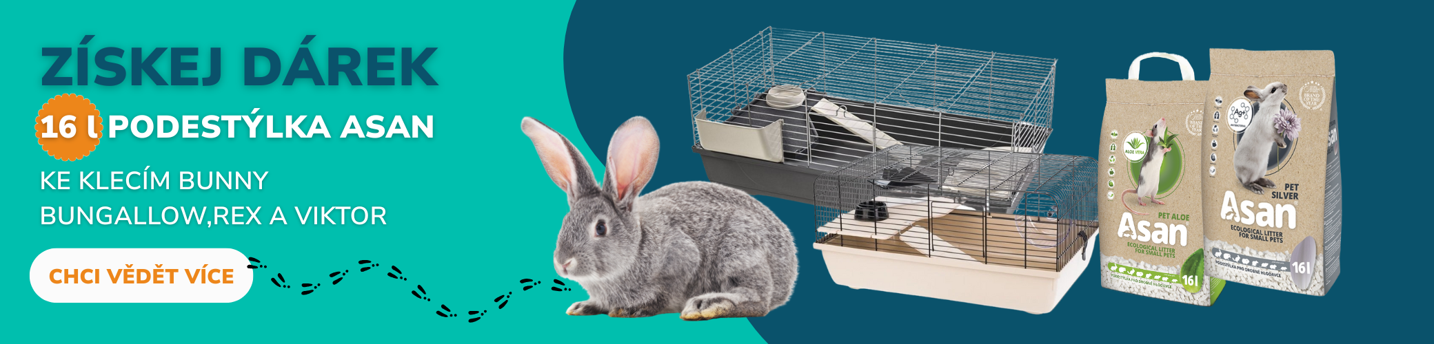 KAT BANNER BUNNY 3